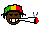 :-rasta