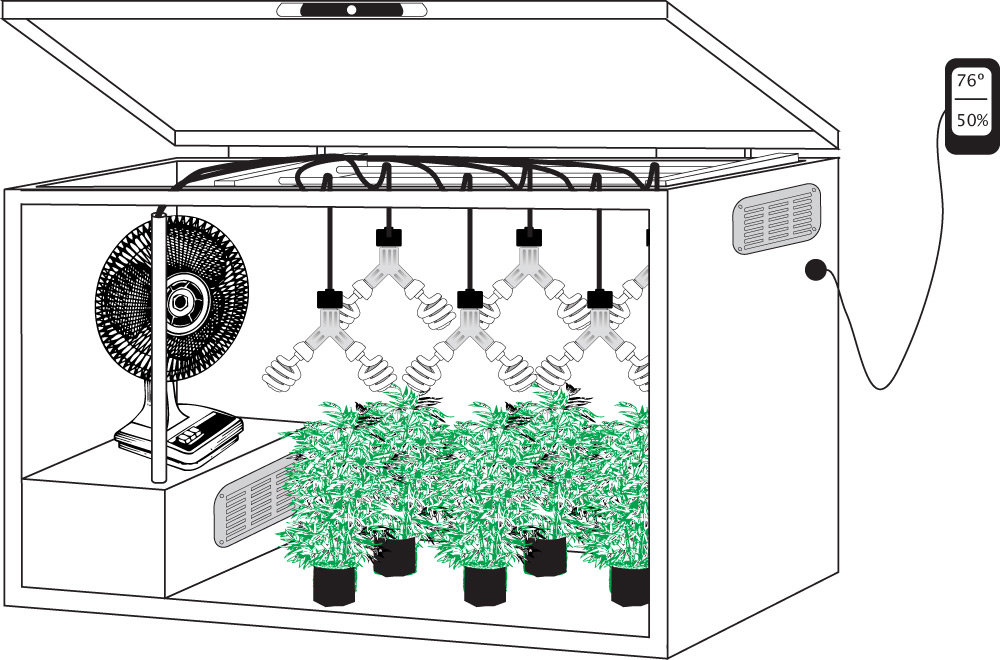 Chest_Freezer_Grow_Box.thumb.jpg.c701d1c4fb56dd8aaecf348216b042a6.jpg