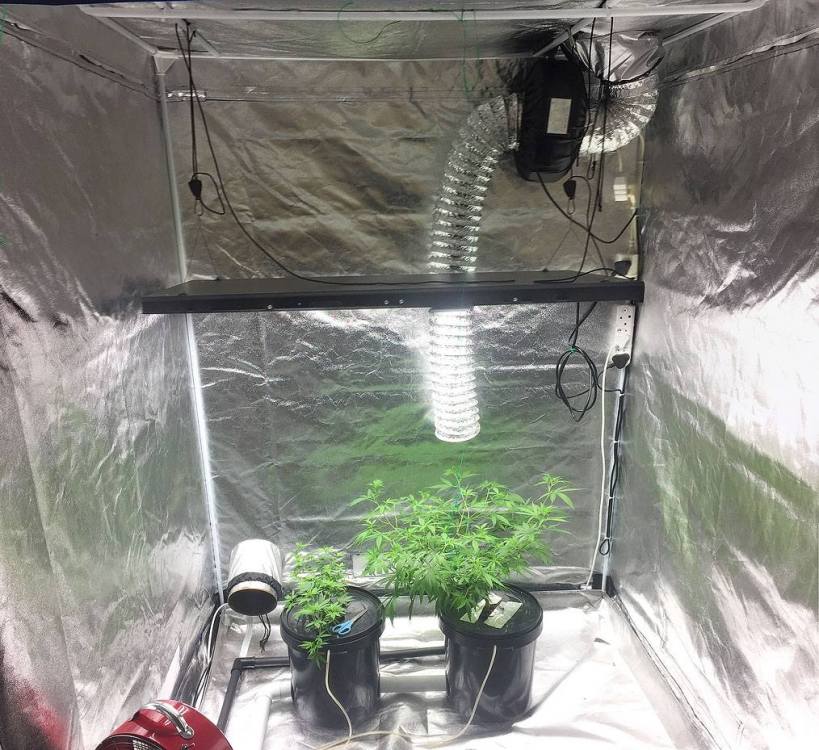Tent-Full.jpg