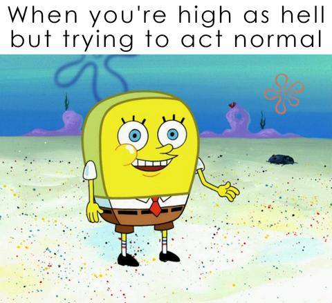 hilarious-memes-stoners-marijuana-smoking-weed_2a15cb3f-609e-4388-b276-61a508297acb_large.jpg.d3882c84399c31c39fe5f580a7618038.jpg