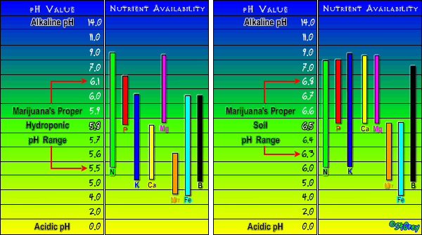 Nutrient_Chart2.gif.15ed205a81c19580f14e6fce5c6834c9.gif