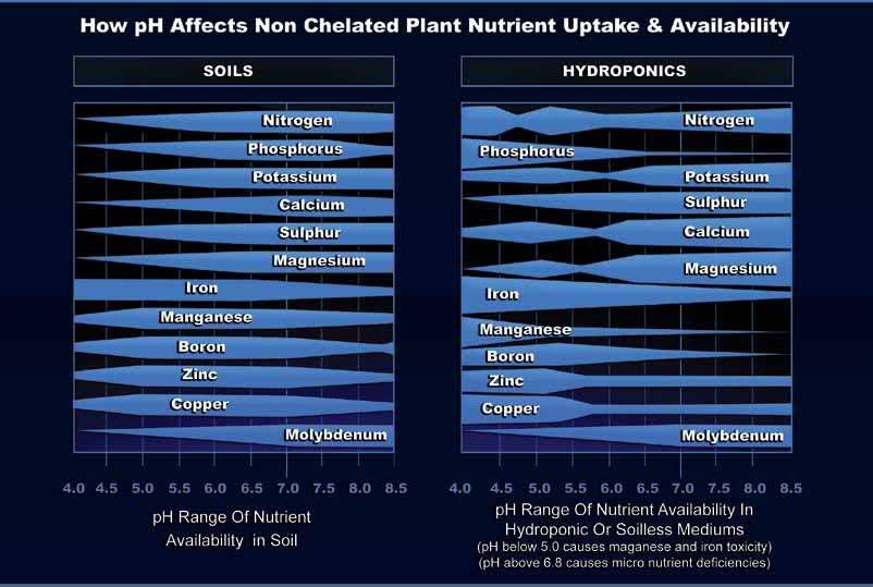 PH-and-cannabis.jpg.6ff710d4ffeef0b11fc69d34d8928a8a.jpg