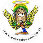 Sacred Seeds