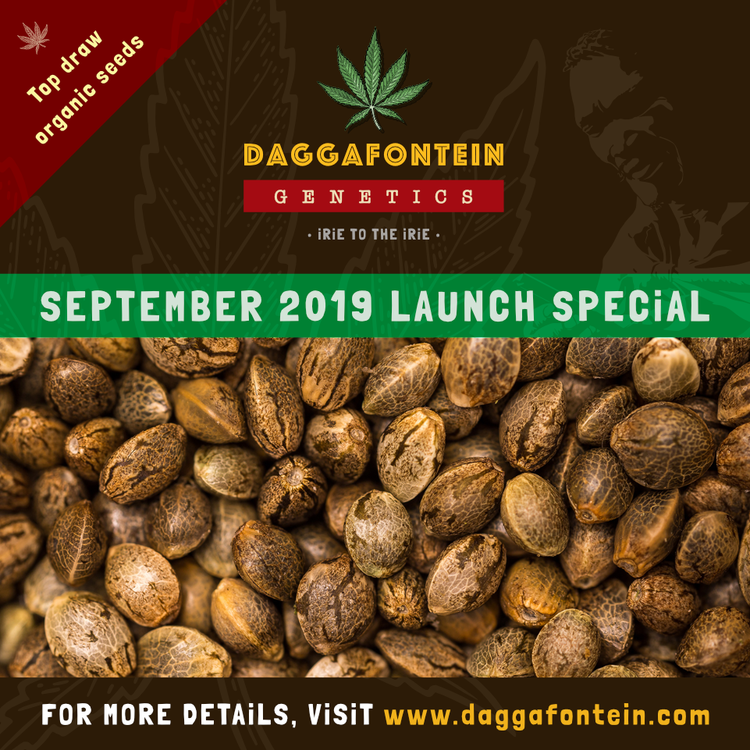 daggafontein launch special5.png