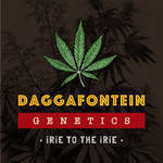Daggafontein Genetics