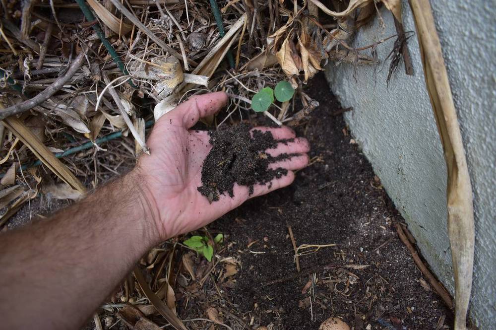 compost result.jpg