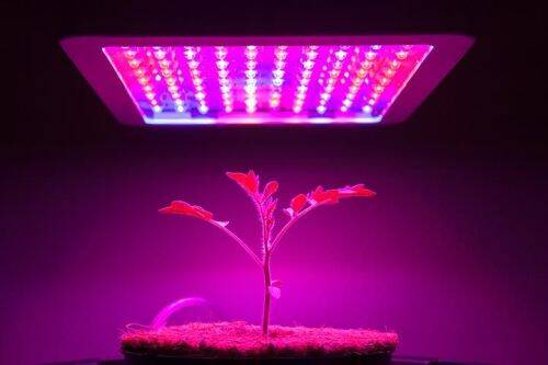 190514134953_Best-LED-Grow-Lights.jpg.20d9f9cace974ca95b9b00f814d0fb20.jpg