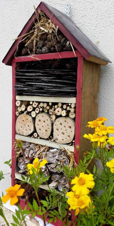 Bug-Hotel-Garden-Art1.thumb.jpg.d177748b1c99f701dd6b1bfe3bffb514.jpg