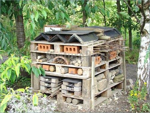 Insect-Hotel-1269880.jpg.a6b90b226c01c045c9b40e80c03f177b.jpg