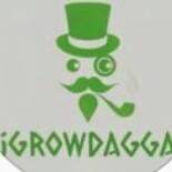 iGrowDagga