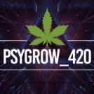 Psygrow_420