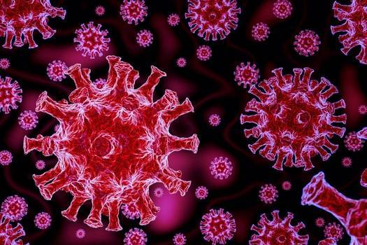 1800x1200_coronavirus.jpg.9b27e04fa20023b4ced63be755c9a8ea.jpg