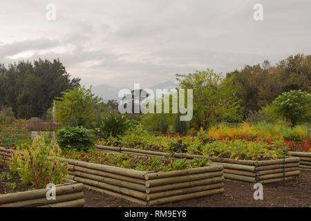 food-and-kitchen-garden-in-raised-wooden-beds-producing-fresh-produce-for-the-restaurants-at-boschendal-wine-estate-cape-winelands-south-africa-rm9ey8.jpg.5e8d47c1361211eb42043ffa1601d039.jpg