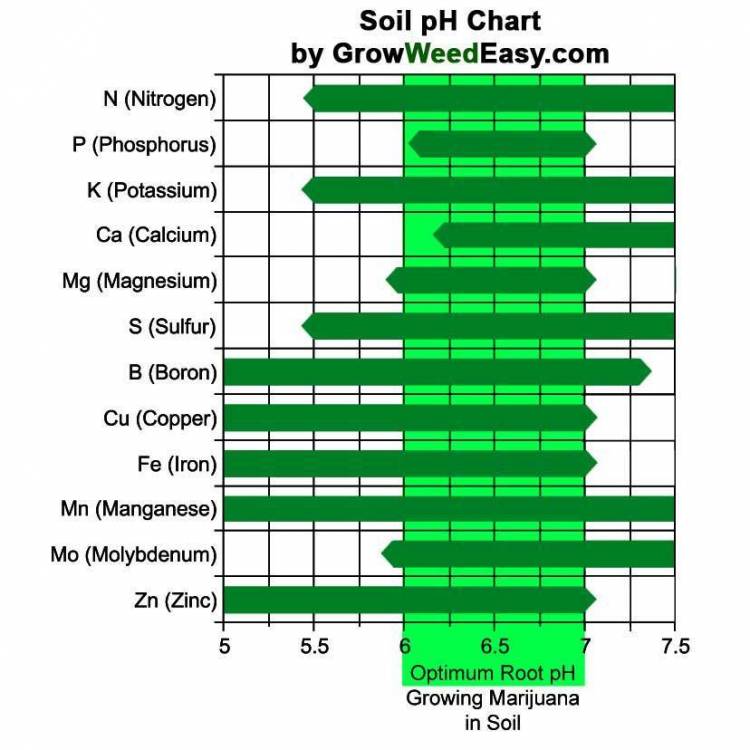 2065398994_SoilpHChart.thumb.jpg.f8e85c205a46f8894a520a1f968d547c.jpg