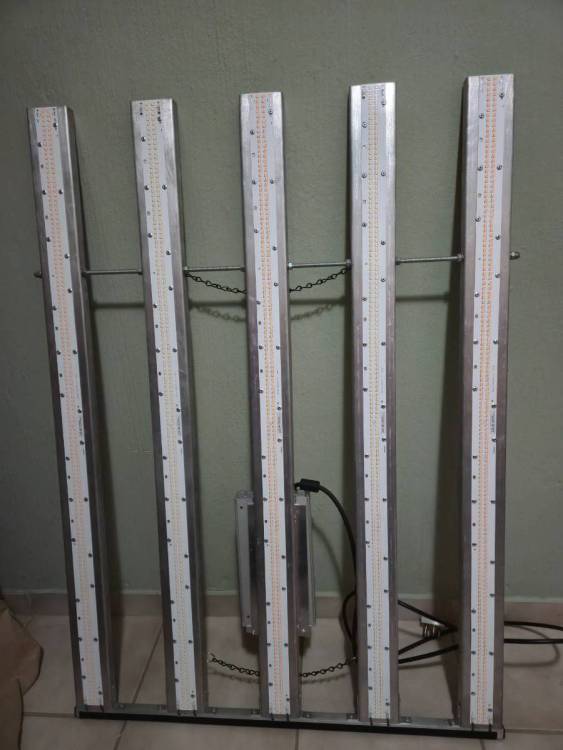 Grow light 1.jpg