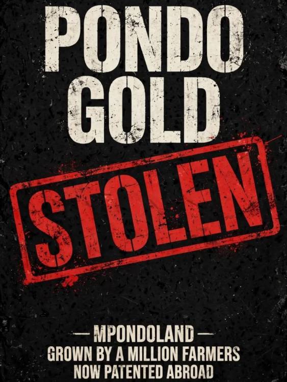 352384474_Durbanpoisonstolen.thumb.jpg.79b3888558726176feb80748c8ab6e8f.jpg
